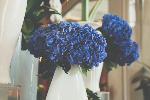blue hydrangea flower bouquet bunch in vase. flora decoration