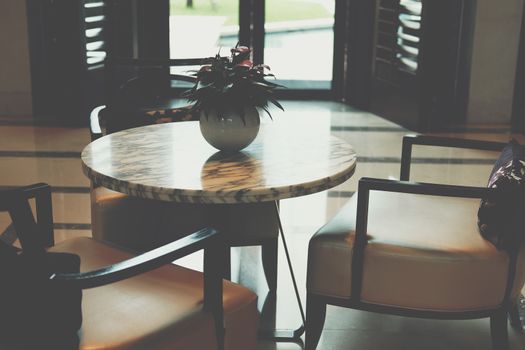 plant pot & leather cushion wooden chair in living room. home interior