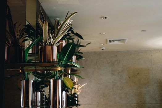 green plant leaves bush arrangement for decoration