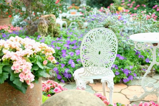 white metal seat chair in flower garden park in spring summer