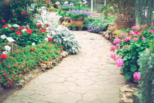 walkway pathway in flower garden park. tranquil nature scene