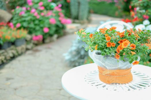 orange flower bouquet on metal table in flower garden park