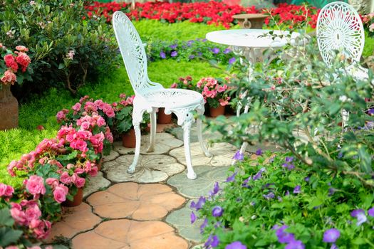 white metal seat chair in flower garden park in spring summer