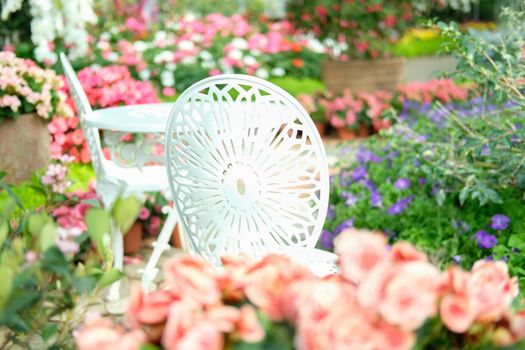 white metal seat chair in flower garden park in spring summer