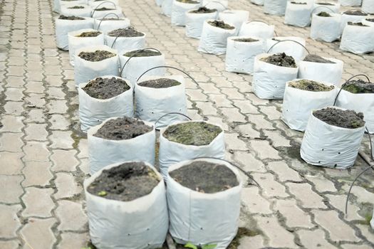 soil & fertilizer in planting bag for growing transplanting plant seedling in farm