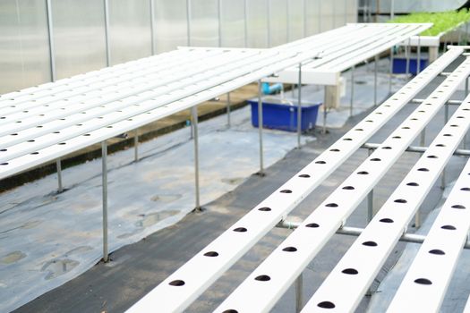 Hydroponic rail pipe with hole for growing vegetable plant in farm