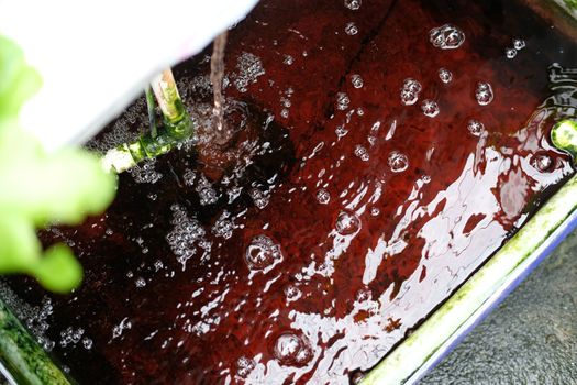 liquid fertilizer mixing in bucket for growing hydroponic vegetable plant