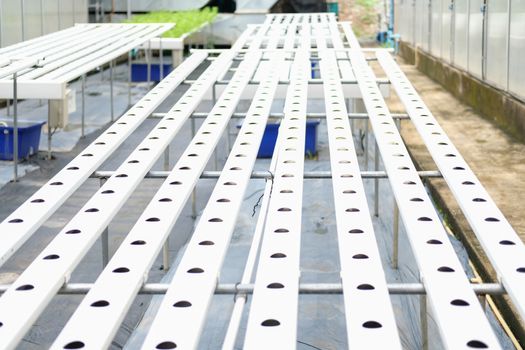Hydroponic rail pipe with hole for growing vegetable plant in farm