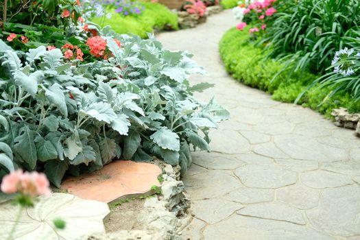 walkway pathway in flower garden park. tranquil nature scene