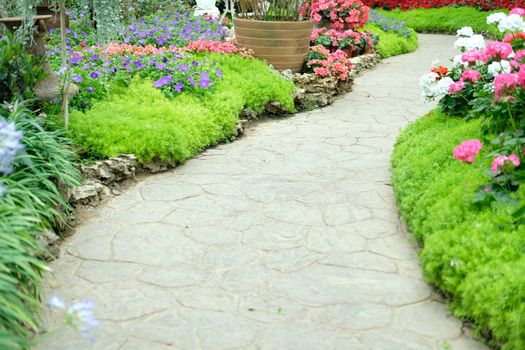 walkway pathway in flower garden park. tranquil nature scene
