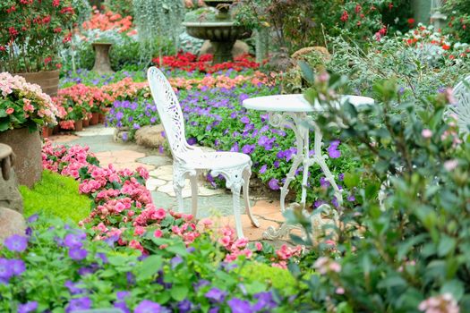 white metal seat chair in flower garden park in spring summer