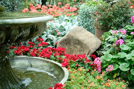 fountain & flower blossom in garden park