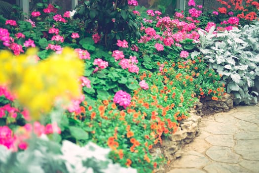 blooming flower plant in botany garden park