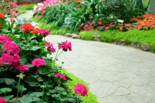 blooming flower plant in botany garden park