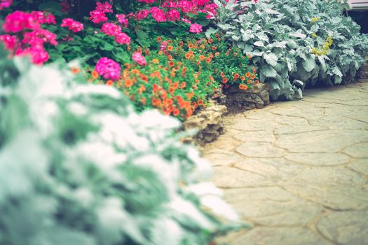 walkway pathway in flower garden park. tranquil nature scene