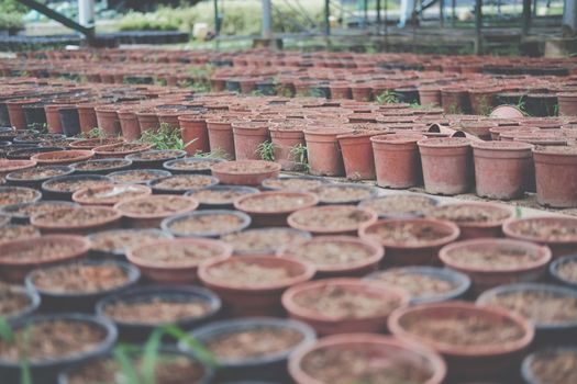 soil & fertilizer in planting pot for growing transplanting plant seedling in farm