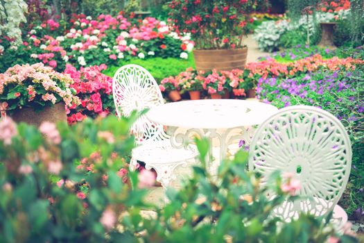 white metal seat chair in flower garden park in spring summer