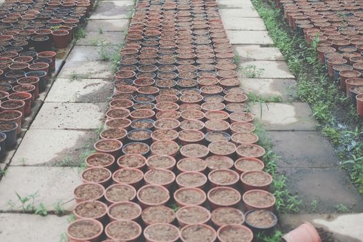 soil & fertilizer in planting pot for growing transplanting plant seedling in farm