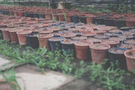 soil & fertilizer in planting pot for growing transplanting plant seedling in farm