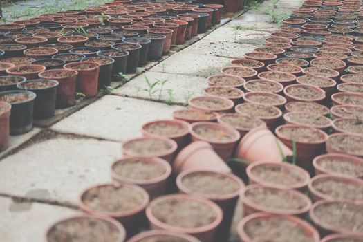 soil & fertilizer in planting pot for growing transplanting plant seedling in farm