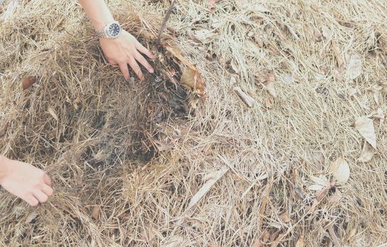 organic compost heap. fertilizer production for soil cultivation in agriculture industry