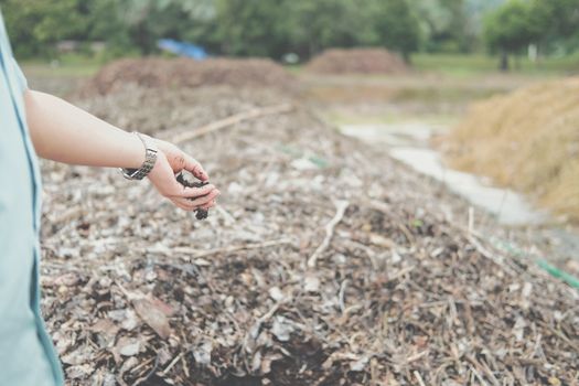 organic compost heap. fertilizer production for soil cultivation in agriculture industry