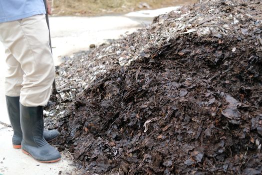 organic compost heap. fertilizer production for soil cultivation in agriculture industry