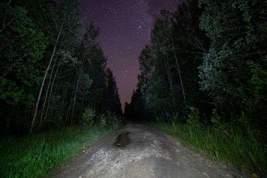 spooky pitch black night in summer forest dirt road with stars.
