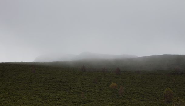 Foggy hill with some trees in the foreground