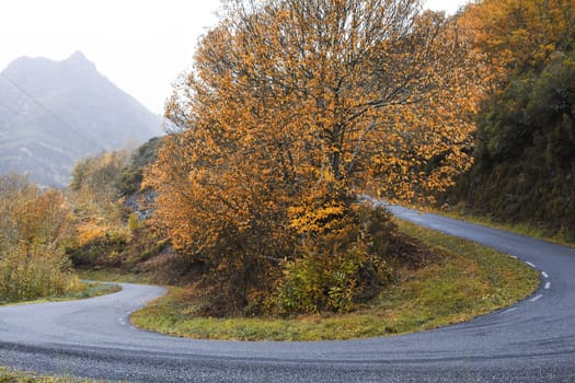 A winding road in autumn. Brilliant autumn colors.