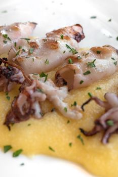 Grilled cuttlefish with polenta and salad. Typical italian fish dish of the upper Adriatic Sea. Close-up with selective focus. Shallow DOF.