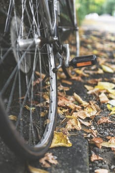 Urban bicycle parked on a sidewalk covered with fallen leaves. Vintage bicycle wheel. Part of old urban bicycle wheel. Retro style photo. Shallow depth of field.