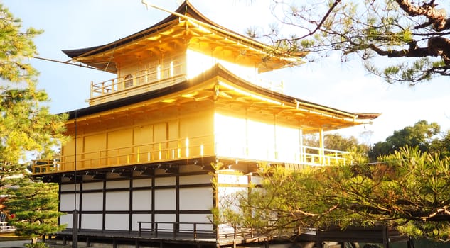 Golden temple or Kinkakuji in Kyoto Japan shoot from back side and have flare blur of real sun light from golden material.