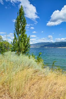Beautiful view of Okanagan lake on summer day