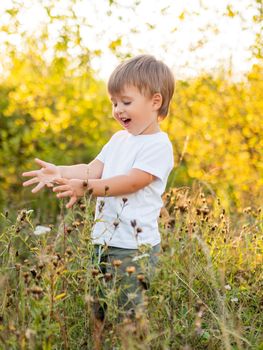 Cute little boy is playing on field. Outdoor leisure activity for toddler. Autumn season. Orange sunset light.