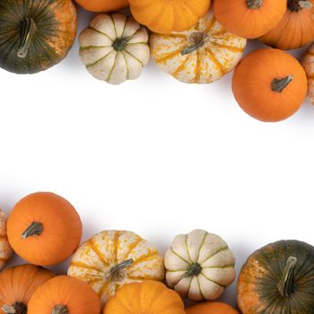 Frame of various pumpkins isolated on white background , Halloween concept , copy space for text