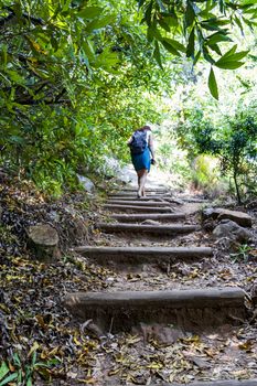 Woman or girl is hiking a trail Walking path in the forest of Kirstenbosch National Botanical Garden in Cape Town.