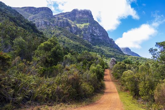 Big mountains and trails Kirstenbosch National Botanical Garden, Cape Town, South Africa.