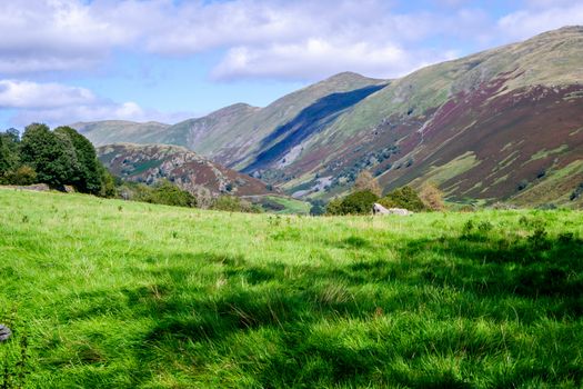 Rolling fells and valley in the Lake District UK with green fields in the summertime