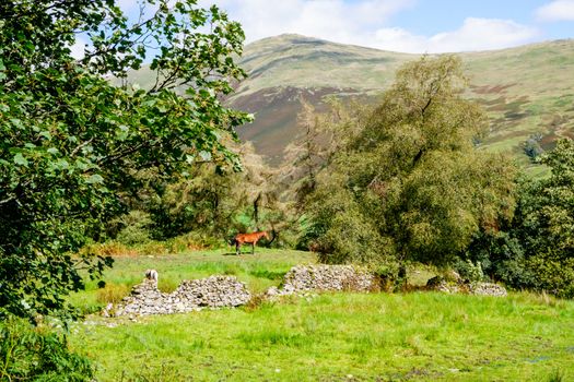 Typical dry stone wall in the countryside of The Lake District