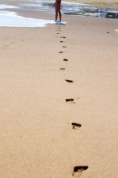 feet of a young girl walk barefoot on a wet beach, leaving footprints in the sand.