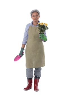 Gardening. Mature woman gardener worker with flowers in pot and scoop isolated on white background, full length portrait