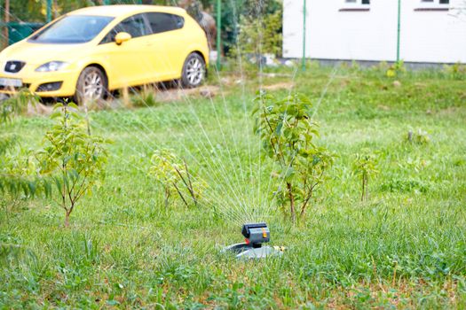 Multidirectional water jets of an automatic oscillating sprayer watered young trees and a lawn in a young garden against the backdrop of a car and part of a private house in blur.