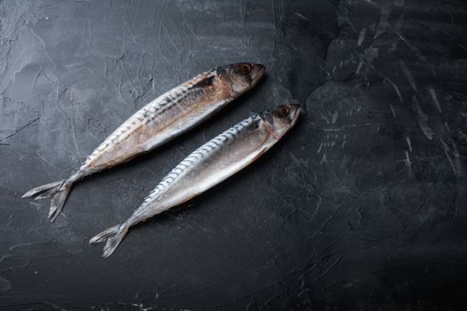Two fresh mackerels on black textured background with space for text.