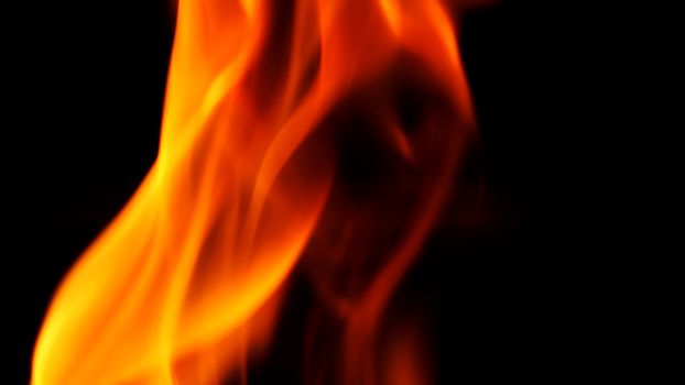 Abstract shape of fire close-up that burning with hot and danger on black background.