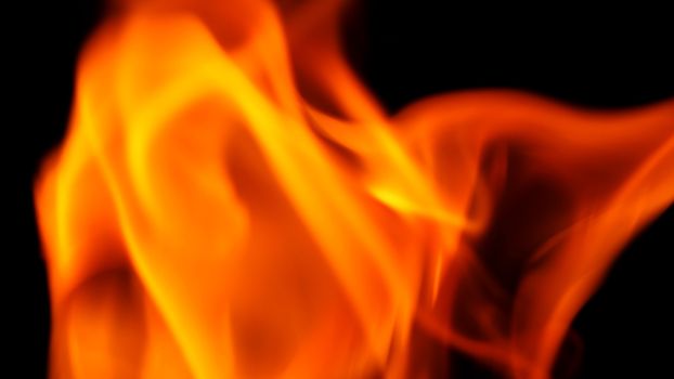 Abstract shape of fire close-up that burning with hot and danger on black background.