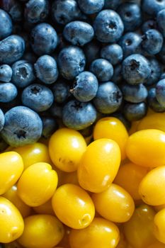 Mix of yellow and blue berries. Summer mick fruit. Berry layout.
