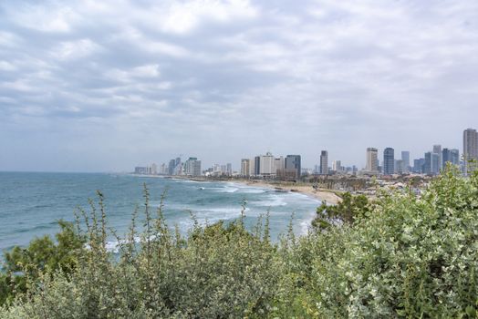 A body of water with a city in the background. A view of the Tel Aviv coastal strip. Urban landscape. Buildings near the Mediterranean. The sky covered with clouds. A clear blue sea with waves and white foam. Cloudy day with fog. Green bushes. High quality photo