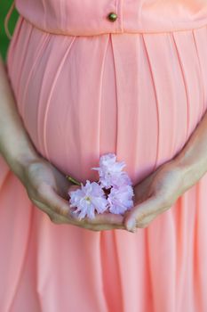A girl in a pink dress holds a sakura flower in her hands. Gentle hands closeup photo