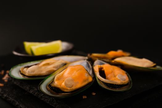 New Zealand greenshell mussels on black stone plate isolated on black background and lime stylish luxury studio shot